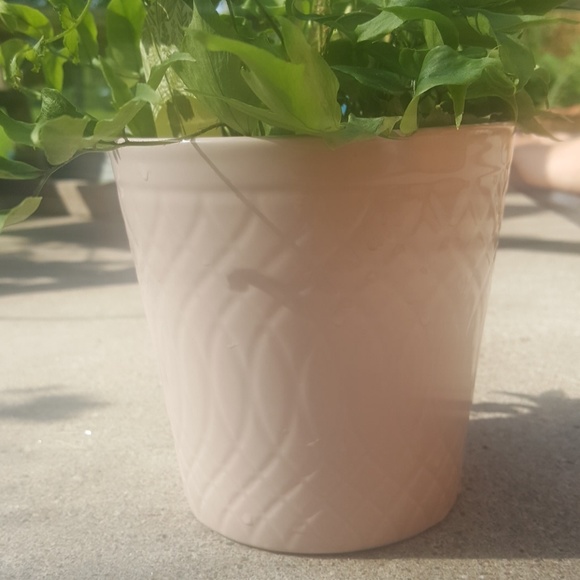 Modern succulent pot - Picture 2 of 5